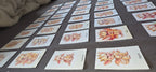 Set of 48 children's emotion cards | Preschool educational tool | Children's emotion management | Dragon educational cards | Montessori emotions