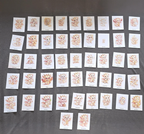 Jeu de 48 cartes émotions enfant | Outil pédagogique maternelle | Gestion émotions enfant