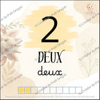 Cartes d'Apprentissage Plastifiées « Petit Dragon Compte Jusqu'à 10 » – Éducatif & Incassable