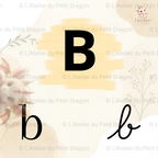 Abécédaire de l'écriture — GS / CP - PDF